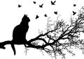 Black Cat Silhouette on Bare Tree Branch with Flying Birds Royalty Free Stock Photo