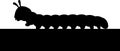 Silhouette of a Caterpillar Crawling on a Surface Royalty Free Stock Photo