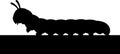 Silhouette of a caterpillar crawling on a surface Royalty Free Stock Photo