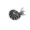 Silhouette chambered nautilus, Nautilus Pompilius shell ocean mollusk black and white minimalist style tattoo template