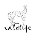 Silhouette of cheetah and grunge lettering on a white background. Vector illustration