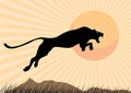 Silhouette Cheetah, Panther, design using black line square, graphic . Royalty Free Stock Photo