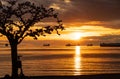 Silhouette of a cherry tree against sunset at English Bay Beach. City of Vancouver beautiful landscape, Canada. Royalty Free Stock Photo