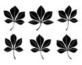 Silhouette of chestnut tree leaves. Set of chestnut leaves isolated on white background Royalty Free Stock Photo