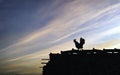 Silhouette of a chicken standing on the roof Royalty Free Stock Photo