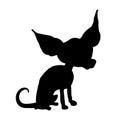 Silhouette of a Chihuahua