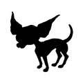 Silhouette of a Chihuahua