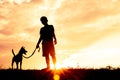 Silhouette child playing with dogs.