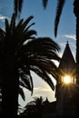 Silhouette of church tower and palm tree in trogir croatia