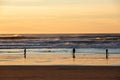 Silhouette of Clam diggers on Shoreline Royalty Free Stock Photo