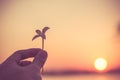 Silhouette close up woman hands holding flower in the park,Hope concept. Royalty Free Stock Photo