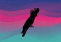 Silhouette of a cockatoo (Cacatuidae) with a distinctive crest set against a wavy, multicolored Royalty Free Stock Photo