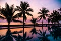 Silhouette coconut palm tree around outdoor swimming pool Royalty Free Stock Photo