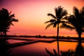 Silhouette coconut palm tree around outdoor swimming pool Royalty Free Stock Photo