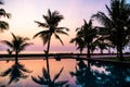 Silhouette coconut palm tree around outdoor swimming pool Royalty Free Stock Photo