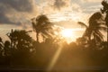 Silhouette coconut palm tree by dark back Lit skylight sun sunlight sunset. Dramatic atmospheric mood background. Dusk to night Royalty Free Stock Photo