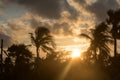 Silhouette coconut palm tree by dark back Lit skylight sun sunlight sunset. Dramatic atmospheric mood background. Dusk to night Royalty Free Stock Photo