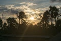 Silhouette coconut palm tree by dark back Lit skylight sun sunlight sunset. Dramatic atmospheric mood background. Dusk to night Royalty Free Stock Photo
