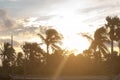 Silhouette coconut palm tree by dark back Lit skylight sun sunlight sunset. Dramatic atmospheric mood background. Dusk to night Royalty Free Stock Photo