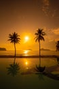 Silhouette Coconut Palm Tree with one bench