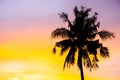 Silhouette Coconut Palm Tree Outdoors Concept on red blue sky sunset near the beach Royalty Free Stock Photo