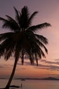 Silhouette coconut palm tree on sea and sunset sky background Royalty Free Stock Photo