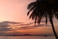 Silhouette coconut palm tree on sea and sunset sky background Royalty Free Stock Photo