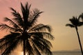 Silhouette coconut palm tree on sea and sunset sky background Royalty Free Stock Photo