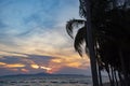 Silhouette coconut palm tree sunset ocean on the tropical beach sea summer orange blue sky Royalty Free Stock Photo