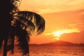 Silhouette coconut palm tree sunset ocean on the tropical beach sea summer orange sky and islands Royalty Free Stock Photo