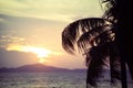 Silhouette coconut palm tree sunset ocean on the tropical beach sea summer orange sky and islands mountain Royalty Free Stock Photo