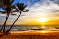 Silhouette of coconut palm trees against beautiful sunset on the tropical sea beach in Punta Cana, Dominican Republic Royalty Free Stock Photo