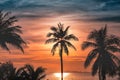 Silhouette coconut palm trees on beach at sunset