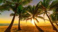 Silhouette coconut palm trees on beach at sunset or sunrise sky over sea Amazing light nature colorful landscape