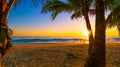 Silhouette coconut palm trees on beach at sunset or sunrise sky over sea Amazing light nature colorful landscape Royalty Free Stock Photo