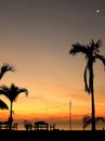 Silhouette coconut palm trees on beach at sunset. Tropical Royalty Free Stock Photo