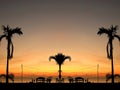 Silhouette coconut palm trees on beach at sunset. Tropical sunset beach background. Bright dramatic sky and dark ground. Seascape Royalty Free Stock Photo