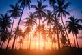 Silhouette coconut palm trees on beach at sunset. Vintage tone Royalty Free Stock Photo