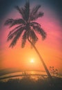 Silhouette coconut palm trees on beach at sunset. Vintage tone Royalty Free Stock Photo