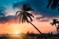 Silhouette coconut palm trees on beach at sunset. Vintage tone Royalty Free Stock Photo