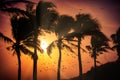 Silhouette coconut palm trees on beach at sunset. Vintage tone Royalty Free Stock Photo