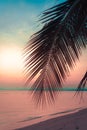 Silhouette coconut palm trees on beach at sunset.