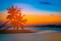 Silhouette coconut palm trees on beach at sunset.