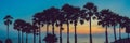 Silhouette coconut palm trees on beach at sunset. Vintage tone BANNER, long format