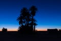 Silhouette coconut palm trees on beach at sunset. Vintage tone. Landscape with palms during summer season, California state, USA Royalty Free Stock Photo