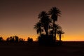 Silhouette coconut palm trees on beach at sunset. Vintage tone. Landscape with palms during summer season, California state, USA Royalty Free Stock Photo