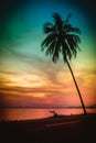 Silhouette coconut palm trees on beach at sunset.