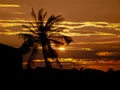 Silhouette of coconut palm trees on colorful sunset. Royalty Free Stock Photo