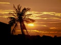 Silhouette of coconut palm trees on colorful sunset. Royalty Free Stock Photo