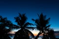 Silhouette coconut palm trees over blue sea sky background at du Royalty Free Stock Photo